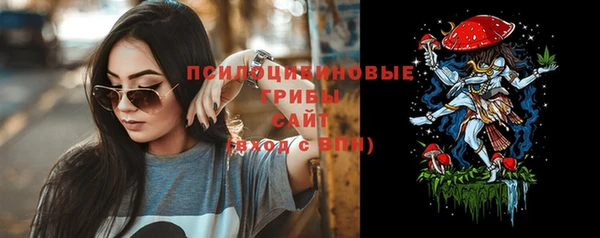 прущий лед Пестово