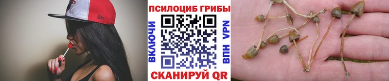Галлюциногенные грибы ЛСД  мега как войти  Алушта 