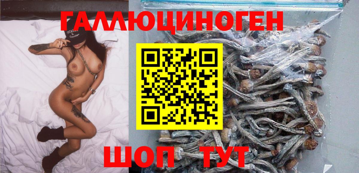 Псилоцибиновые грибы ЛСД Алушта