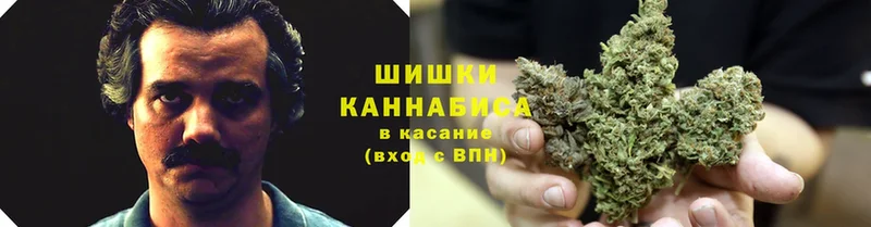 Бошки Шишки Ganja  Алушта 